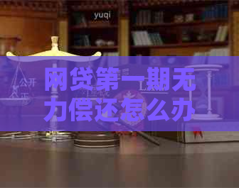 网贷之一期无力偿还怎么办