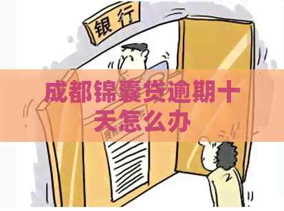 成都锦囊贷逾期十天怎么办