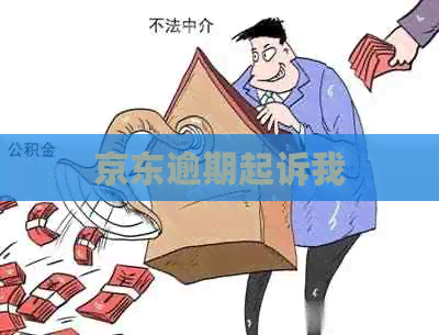 京东逾期起诉我