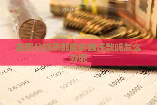 美团都能协商还款吗怎么办呢