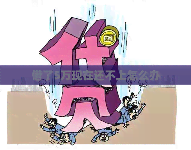 借了5万现在还不上怎么办