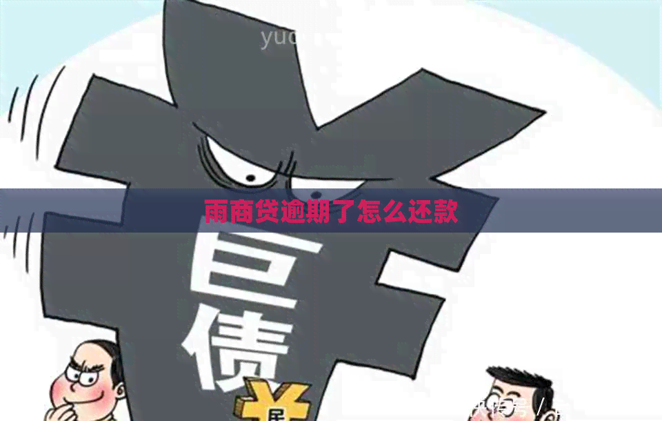 雨商贷逾期了怎么还款