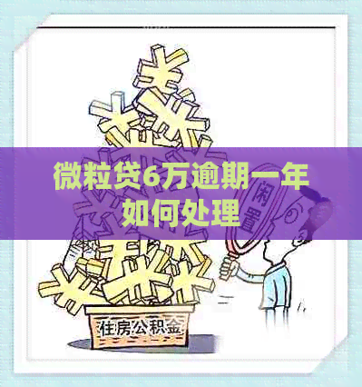 微粒贷6万逾期一年如何处理