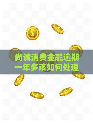 尚诚消费金融逾期一年多该如何处理
