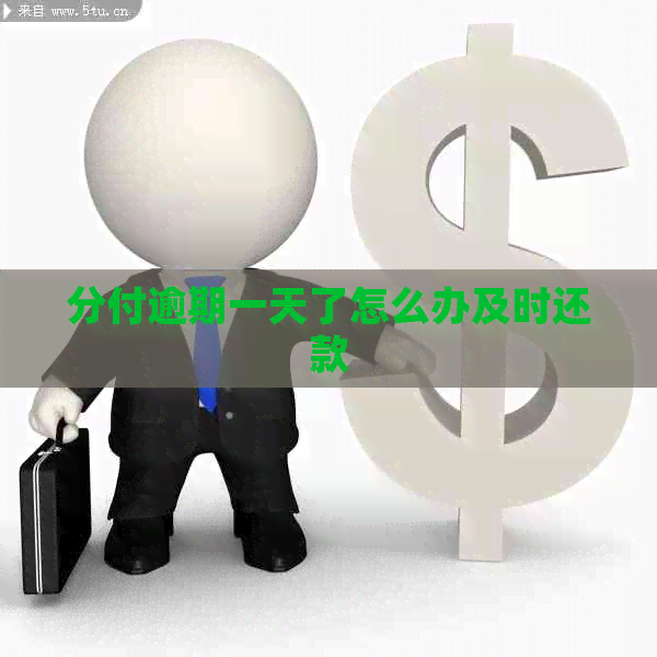 分付逾期一天了怎么办及时还款