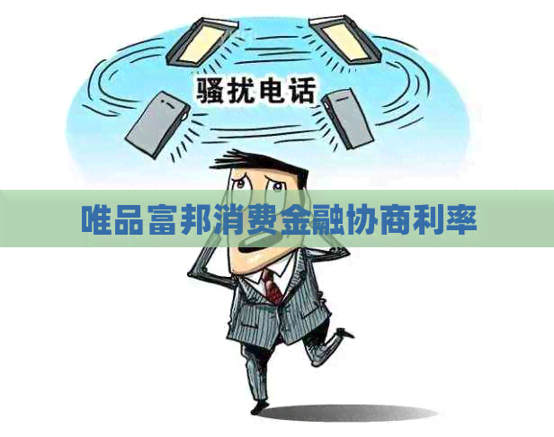 唯品富邦消费金融协商利率