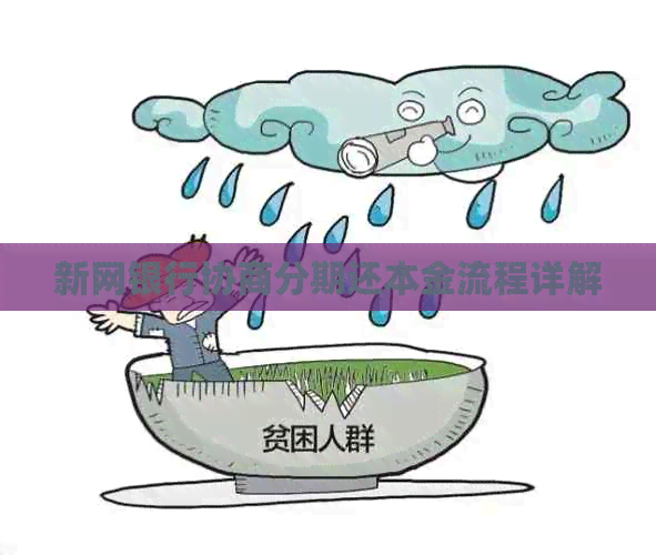 新网银行协商分期还本金流程详解