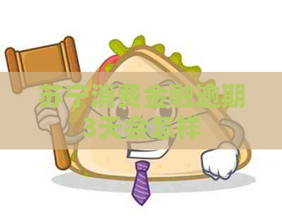 苏宁消费金融逾期3天会怎样