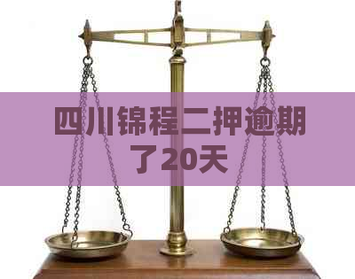 四川锦程二押逾期了20天