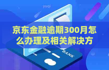 京东金融逾期300月怎么办理及相关解决方法