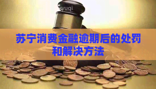 苏宁消费金融逾期后的处罚和解决方法
