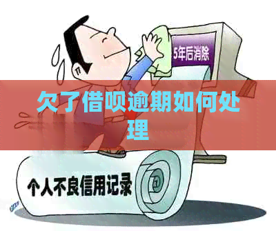 欠了信用卡逾期如何处理