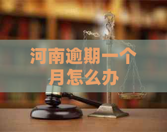 河南逾期一个月怎么办