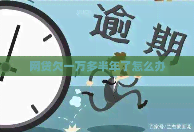 网贷欠一万多半年了怎么办