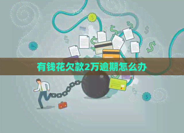 有钱花欠款2万逾期怎么办