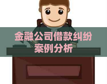 金融公司借款纠纷案例分析