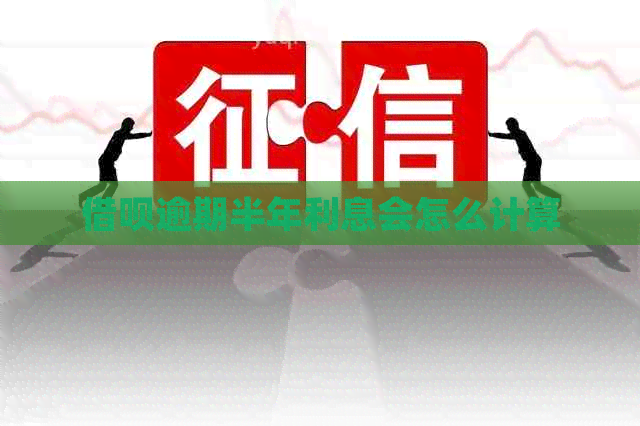 信用卡逾期半年利息会怎么计算