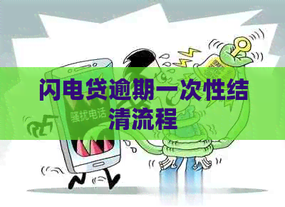 闪电贷逾期一次性结清流程