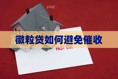 徽粒贷如何避免
