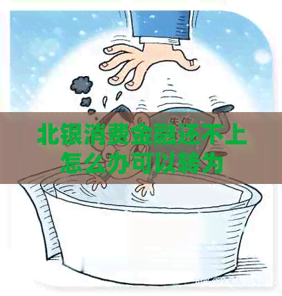 北银消费金融还不上怎么办可以转为