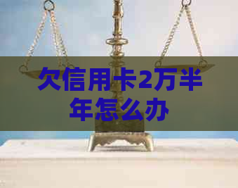 欠信用卡2万半年怎么办