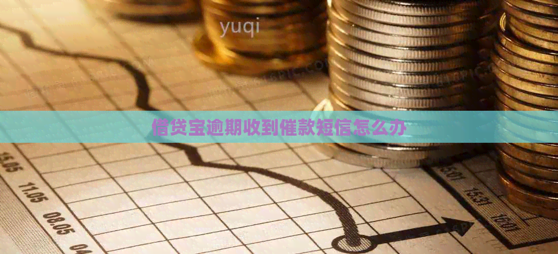 借贷宝逾期收到催款短信怎么办