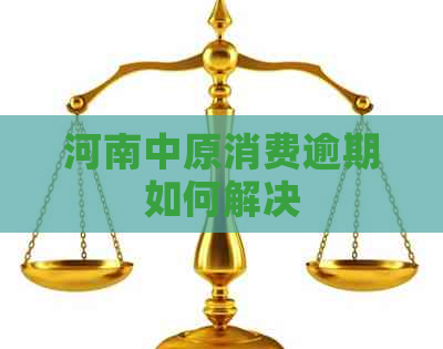 河南中原消费逾期如何解决