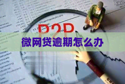 微网贷逾期怎么办