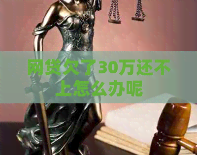 网贷欠了30万还不上怎么办呢