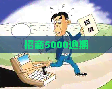招商5000逾期