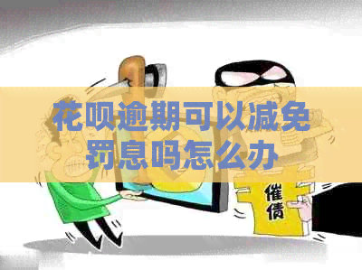 白条逾期可以减免罚息吗怎么办