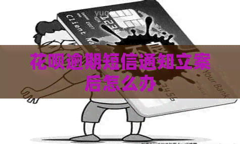 白条逾期短信通知立案后怎么办