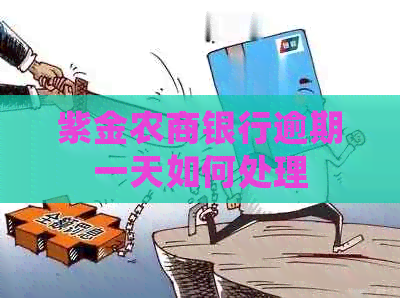 紫金农商银行逾期一天如何处理