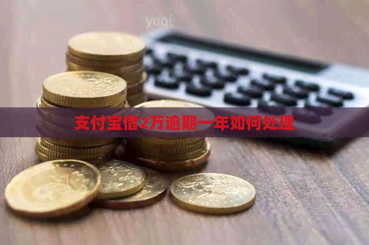 信用卡借2万逾期一年如何处理
