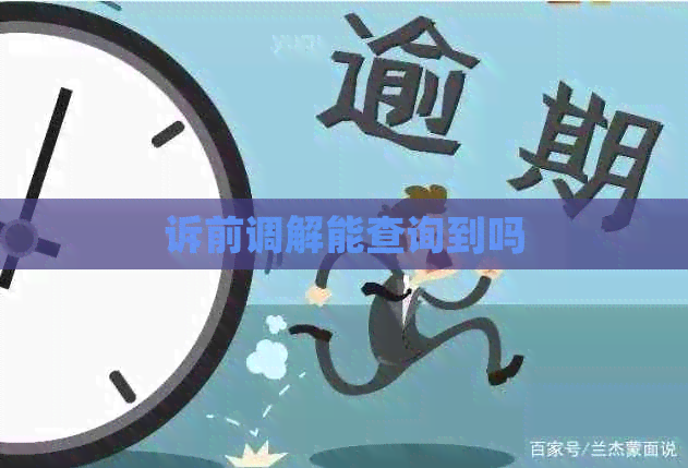 诉前调解能查询到吗