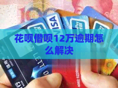 白条信用卡12万逾期怎么解决