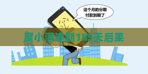 度小满逾期185天后果