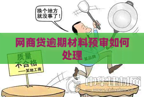 白条贷逾期材料预审如何处理