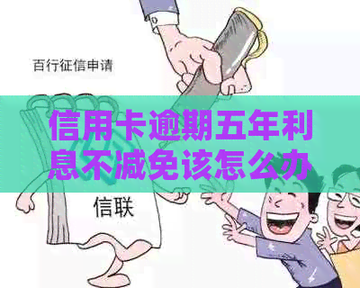 信用卡逾期五年利息不减免该怎么办