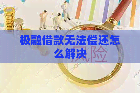 极融借款无法偿还怎么解决