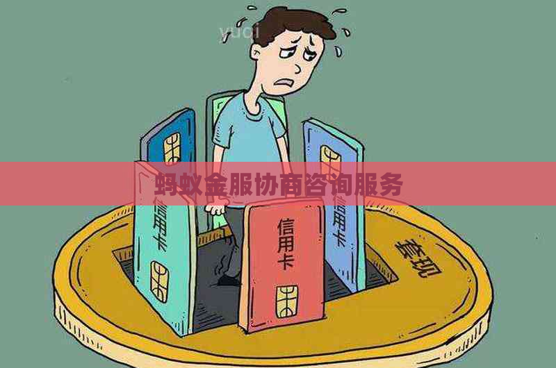 蚂蚁金服协商咨询服务