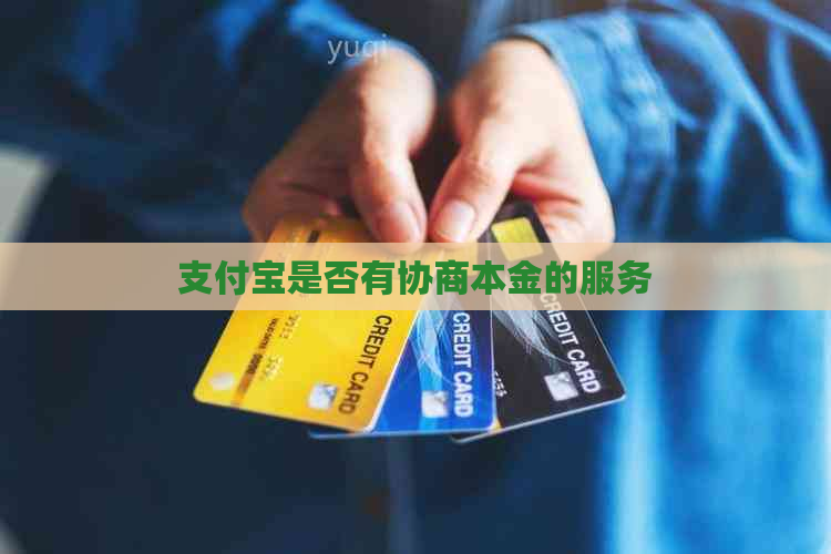 支付宝是否有协商本金的服务