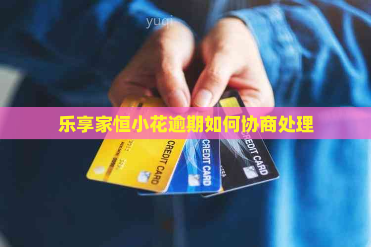 乐享家恒小花逾期如何协商处理