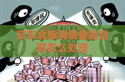 京东北银消费金融逾期怎么处理