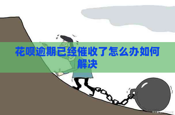 白条逾期已经了怎么办如何解决