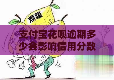 信用卡白条逾期多少会影响信用分数