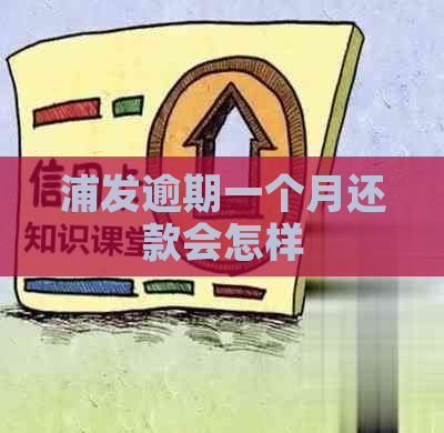 浦发逾期一个月还款会怎样