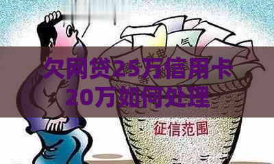 欠网贷25万信用卡20万如何处理