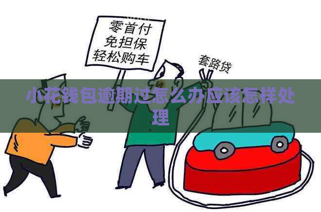 小花钱包逾期过怎么办应该怎样处理