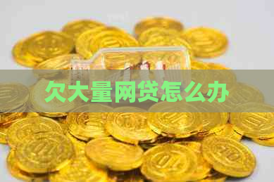 欠大量网贷怎么办